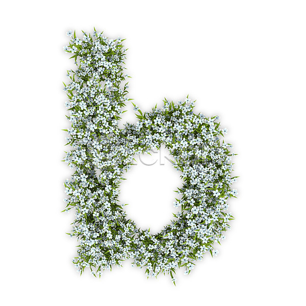 사람없음 3D PSD 편집이미지 B 꽃 문자 소문자 수국 식물 알파벳 영어 타이포그라피 텍스트 흰색
