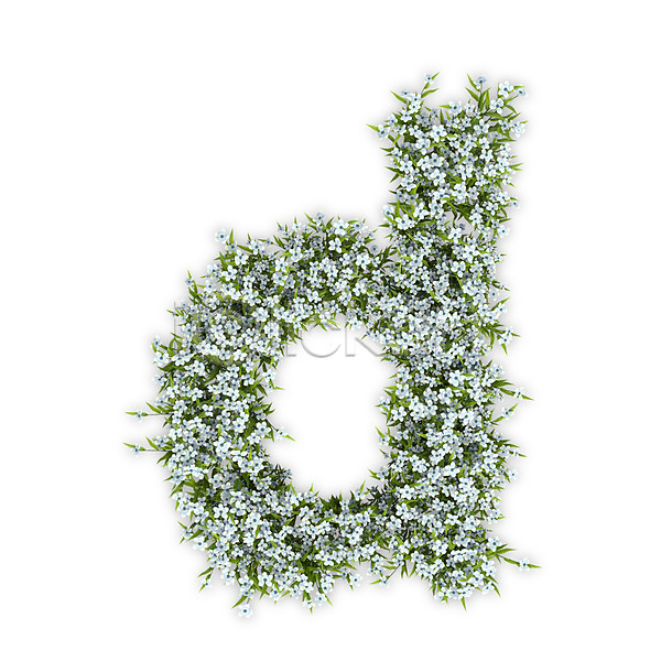 사람없음 3D PSD 편집이미지 D 꽃 문자 소문자 수국 식물 알파벳 영어 타이포그라피 텍스트 흰색