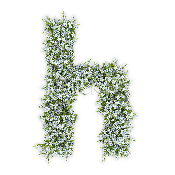 사람없음 3D PSD 편집이미지 H 꽃 문자 소문자 수국 식물 알파벳 영어 타이포그라피 텍스트 흰색