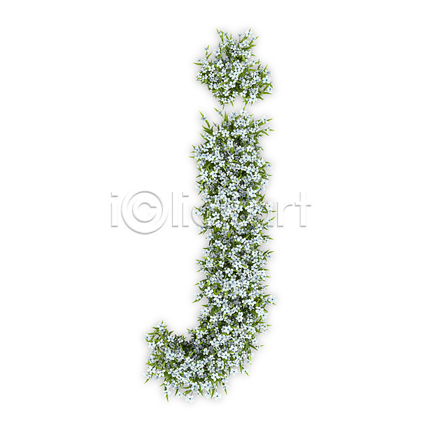 사람없음 3D PSD 편집이미지 J 꽃 문자 소문자 수국 식물 알파벳 영어 타이포그라피 텍스트 흰색
