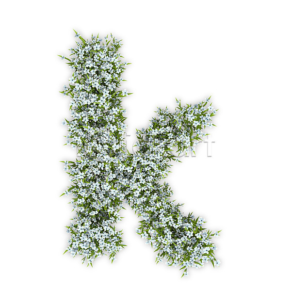 사람없음 3D PSD 편집이미지 K 꽃 문자 소문자 수국 식물 알파벳 영어 타이포그라피 텍스트 흰색