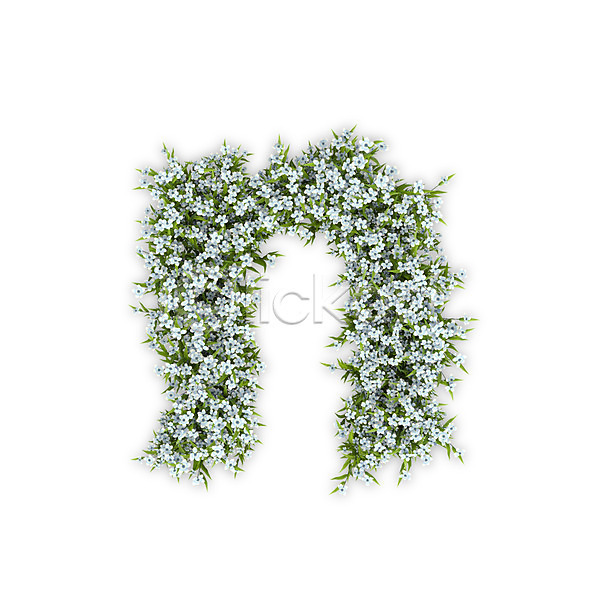사람없음 3D PSD 편집이미지 N 꽃 문자 소문자 수국 식물 알파벳 엔 영어 타이포그라피 텍스트 흰색