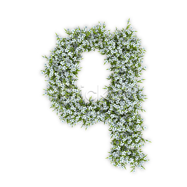 사람없음 3D PSD 편집이미지 Q 꽃 문자 소문자 수국 식물 알파벳 영어 타이포그라피 텍스트 흰색