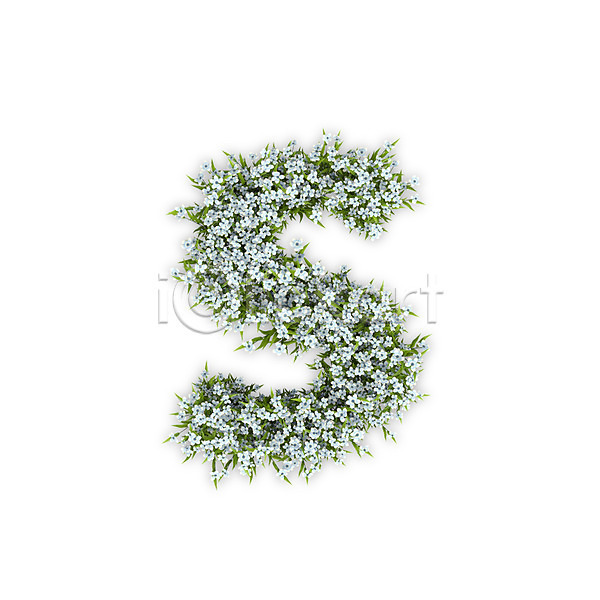 사람없음 3D PSD 편집이미지 S 꽃 문자 소문자 수국 식물 알파벳 영어 타이포그라피 텍스트 흰색