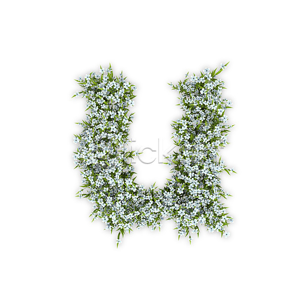 사람없음 3D PSD 편집이미지 U 꽃 문자 소문자 수국 식물 알파벳 영어 유 타이포그라피 텍스트 흰색