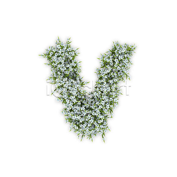 사람없음 3D PSD 편집이미지 V 꽃 문자 소문자 수국 식물 알파벳 영어 타이포그라피 텍스트 흰색