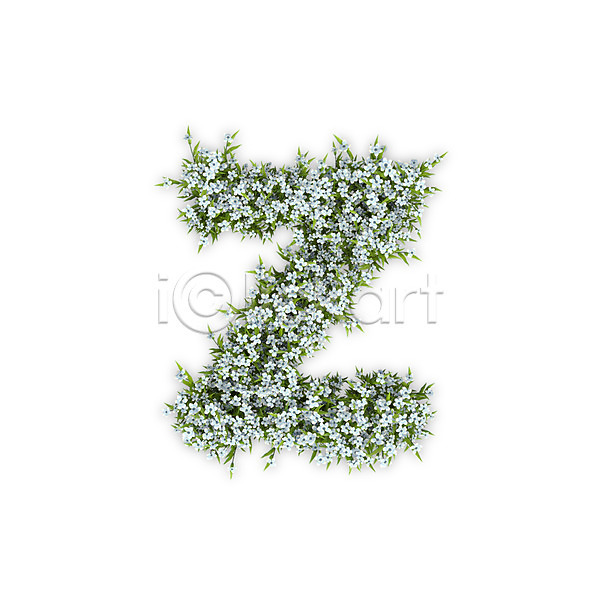 사람없음 3D PSD 편집이미지 Z 꽃 문자 소문자 수국 식물 알파벳 영어 타이포그라피 텍스트 흰색