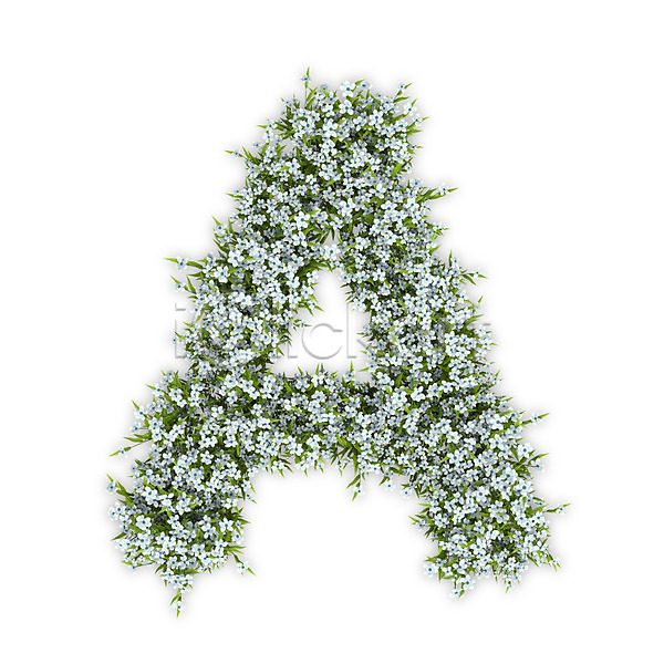 사람없음 3D PSD 편집이미지 A 꽃 대문자 문자 수국 식물 알파벳 영어 타이포그라피 텍스트 흰색