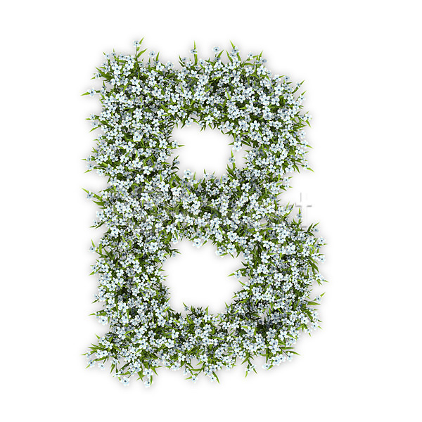 사람없음 3D PSD 편집이미지 B 꽃 대문자 문자 수국 식물 알파벳 영어 타이포그라피 텍스트 흰색