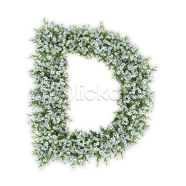 사람없음 3D PSD 편집이미지 D 꽃 대문자 문자 수국 식물 알파벳 영어 타이포그라피 텍스트 흰색