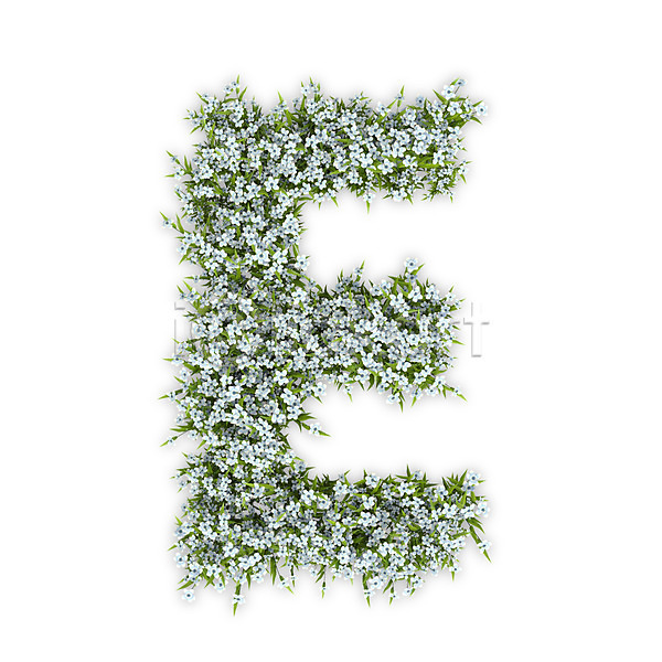 사람없음 3D PSD 편집이미지 E 꽃 대문자 문자 수국 식물 알파벳 영어 타이포그라피 텍스트 흰색