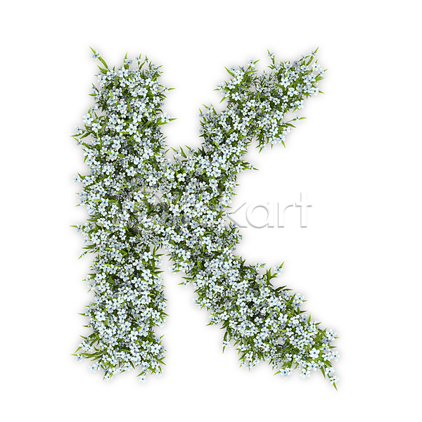 사람없음 3D PSD 편집이미지 K 꽃 대문자 문자 수국 식물 알파벳 영어 타이포그라피 텍스트 흰색