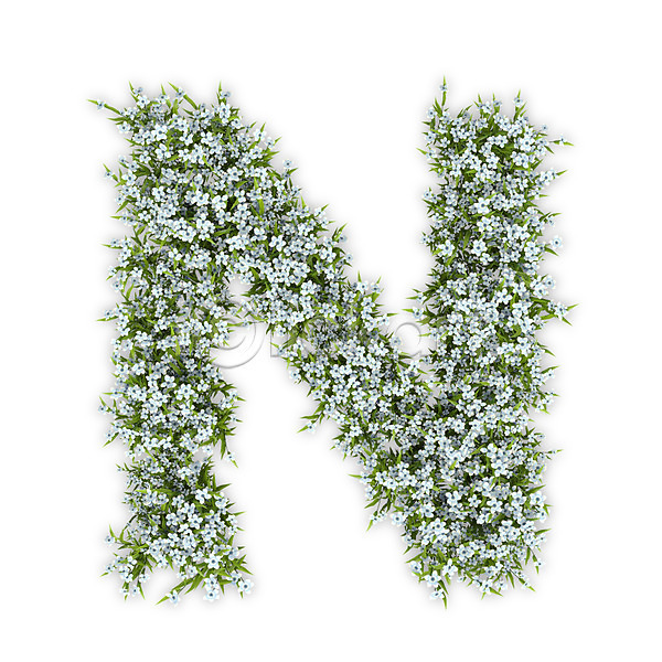 사람없음 3D PSD 편집이미지 N 꽃 대문자 문자 수국 식물 알파벳 엔 영어 타이포그라피 텍스트 흰색