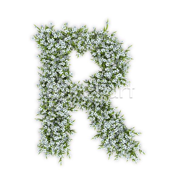 사람없음 3D PSD 편집이미지 R 꽃 대문자 문자 수국 식물 알 알파벳 영어 타이포그라피 텍스트 흰색