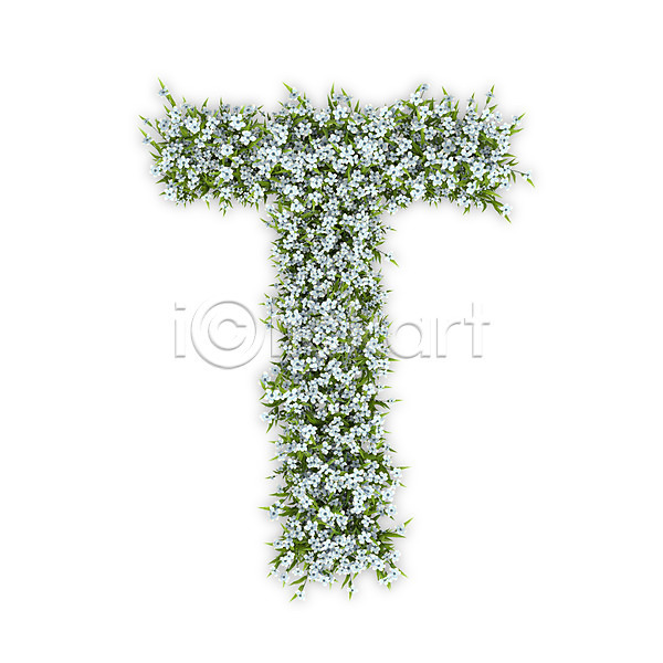 사람없음 3D PSD 편집이미지 T 꽃 대문자 문자 수국 식물 알파벳 영어 타이포그라피 텍스트 티(알파벳) 흰색
