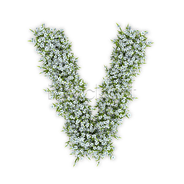 사람없음 3D PSD 편집이미지 V 꽃 대문자 문자 수국 식물 알파벳 영어 타이포그라피 텍스트 흰색