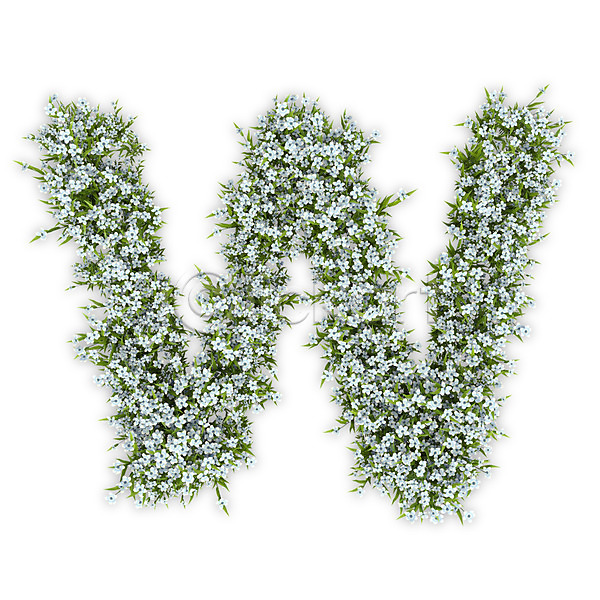 사람없음 3D PSD 편집이미지 W 꽃 대문자 문자 수국 식물 알파벳 영어 타이포그라피 텍스트 흰색
