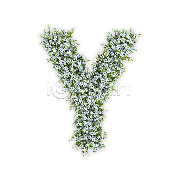 사람없음 3D PSD 편집이미지 Y 꽃 대문자 문자 수국 식물 알파벳 영어 타이포그라피 텍스트 흰색