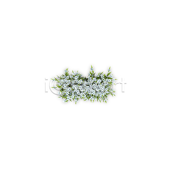 사람없음 3D PSD 편집이미지 기호 꽃 문자 수국 식물 연산기호 타이포그라피 텍스트 하이픈 흰색