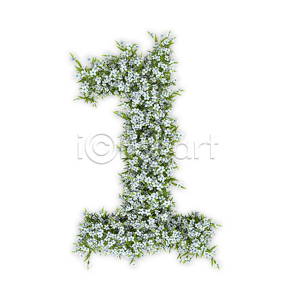 사람없음 3D PSD 편집이미지 1 꽃 문자 수국 숫자 식물 타이포그라피 텍스트 흰색