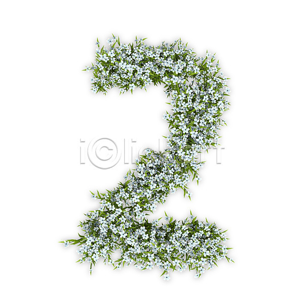 사람없음 3D PSD 편집이미지 2 꽃 문자 수국 숫자 식물 타이포그라피 텍스트 흰색