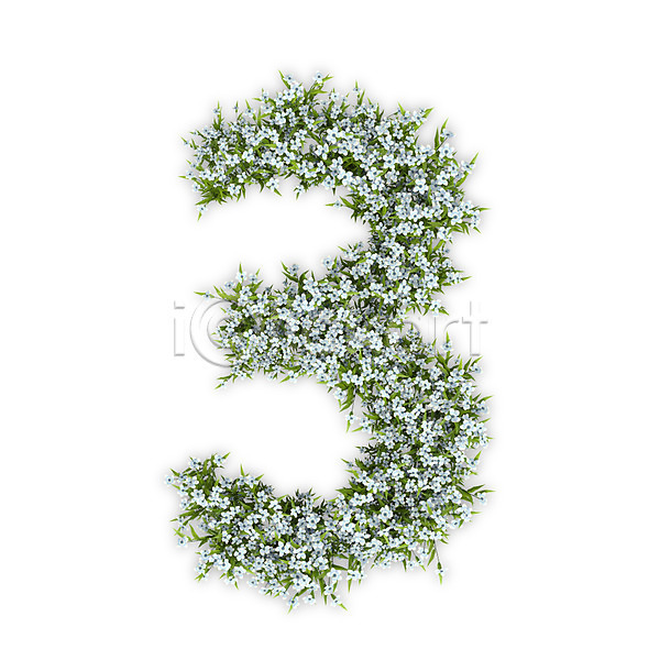 사람없음 3D PSD 편집이미지 3 꽃 문자 삼 수국 숫자 식물 타이포그라피 텍스트 흰색