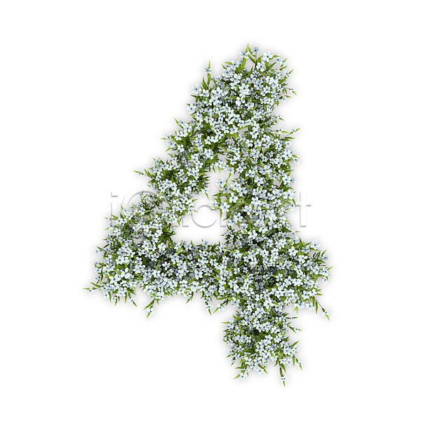 사람없음 3D PSD 편집이미지 4 꽃 문자 사 수국 숫자 식물 타이포그라피 텍스트 흰색