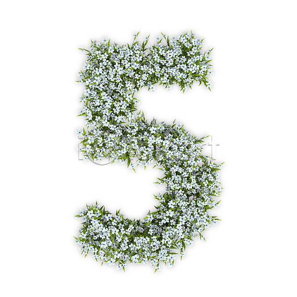 사람없음 3D PSD 편집이미지 5 꽃 문자 수국 숫자 식물 오 타이포그라피 텍스트 흰색