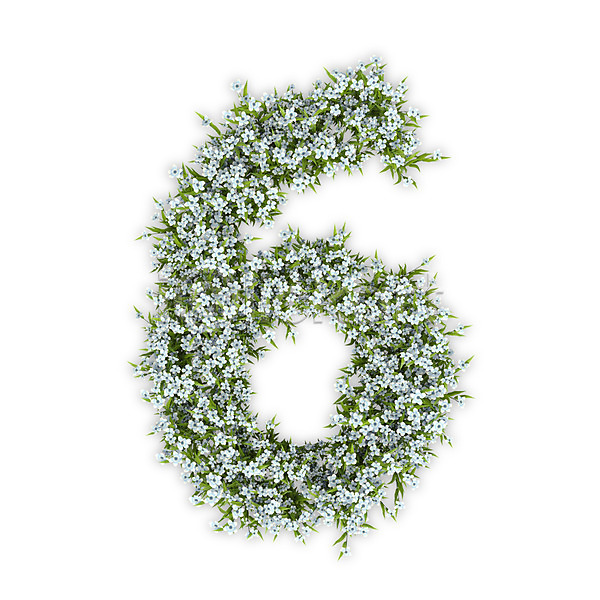 사람없음 3D PSD 편집이미지 6 꽃 문자 수국 숫자 식물 타이포그라피 텍스트 흰색