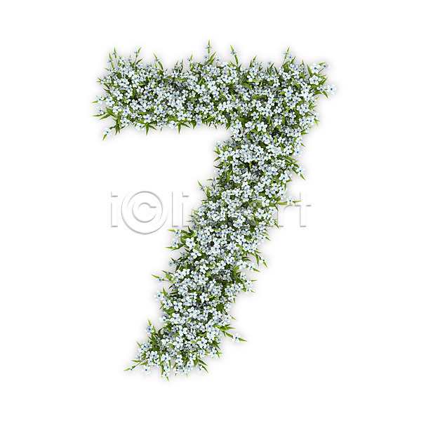 사람없음 3D PSD 편집이미지 7 꽃 문자 수국 숫자 식물 칠 타이포그라피 텍스트 흰색