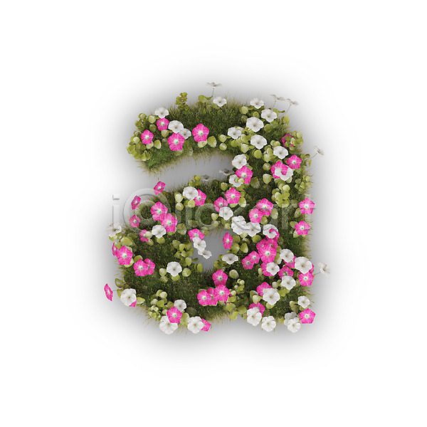 사람없음 3D PSD 편집이미지 A 꽃 나팔꽃 문자 분홍색 소문자 식물 알파벳 영어 타이포그라피 텍스트 흰색