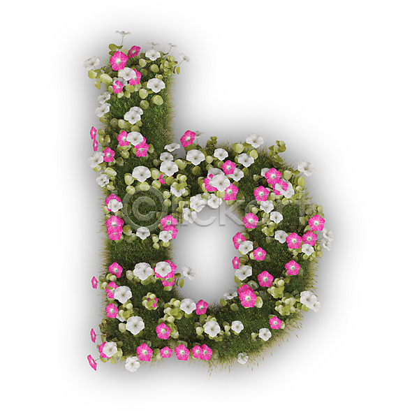 사람없음 3D PSD 편집이미지 B 꽃 나팔꽃 문자 분홍색 소문자 식물 알파벳 영어 타이포그라피 텍스트 흰색
