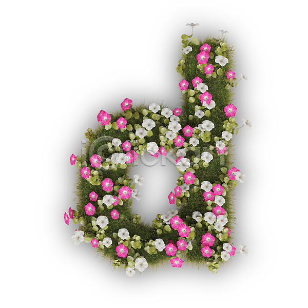 사람없음 3D PSD 편집이미지 D 꽃 나팔꽃 문자 분홍색 소문자 식물 알파벳 영어 타이포그라피 텍스트 흰색
