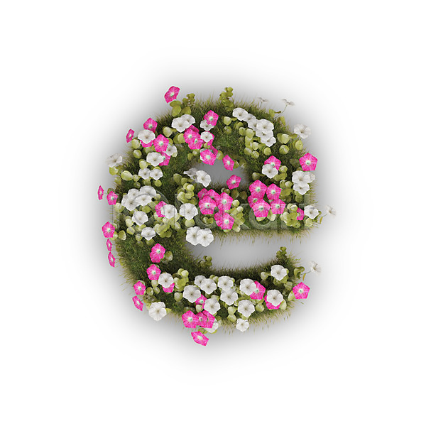 사람없음 3D PSD 편집이미지 E 꽃 나팔꽃 문자 분홍색 소문자 식물 알파벳 영어 타이포그라피 텍스트 흰색