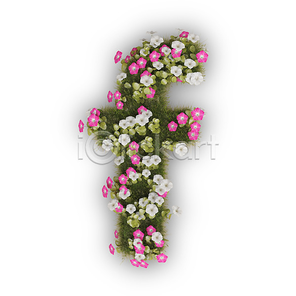 사람없음 3D PSD 편집이미지 F 꽃 나팔꽃 문자 분홍색 소문자 식물 알파벳 영어 타이포그라피 텍스트 흰색