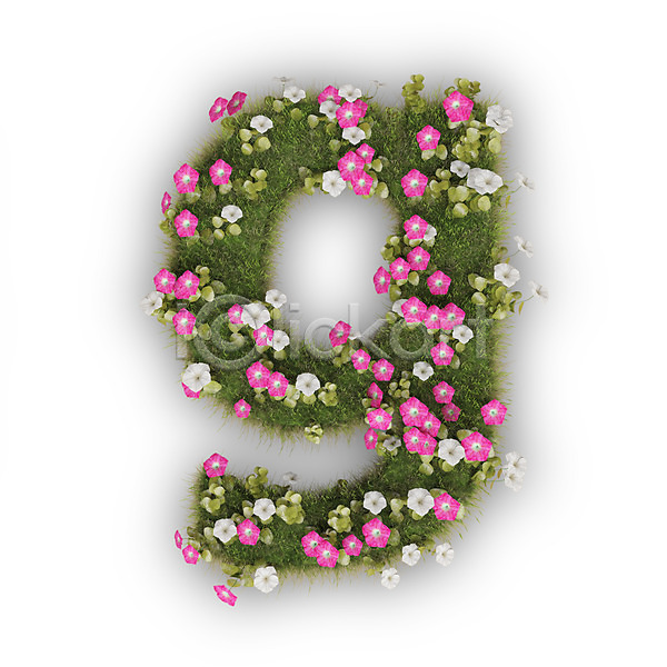 사람없음 3D PSD 편집이미지 G 꽃 나팔꽃 문자 분홍색 소문자 식물 알파벳 영어 타이포그라피 텍스트 흰색