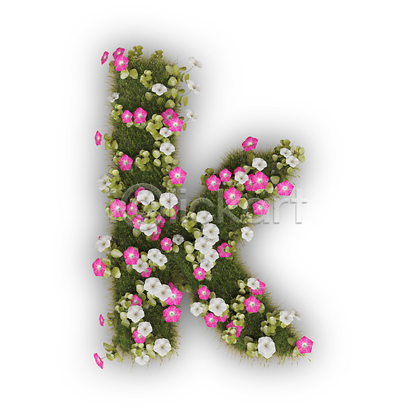 사람없음 3D PSD 편집이미지 K 꽃 나팔꽃 문자 분홍색 소문자 식물 알파벳 영어 타이포그라피 텍스트 흰색