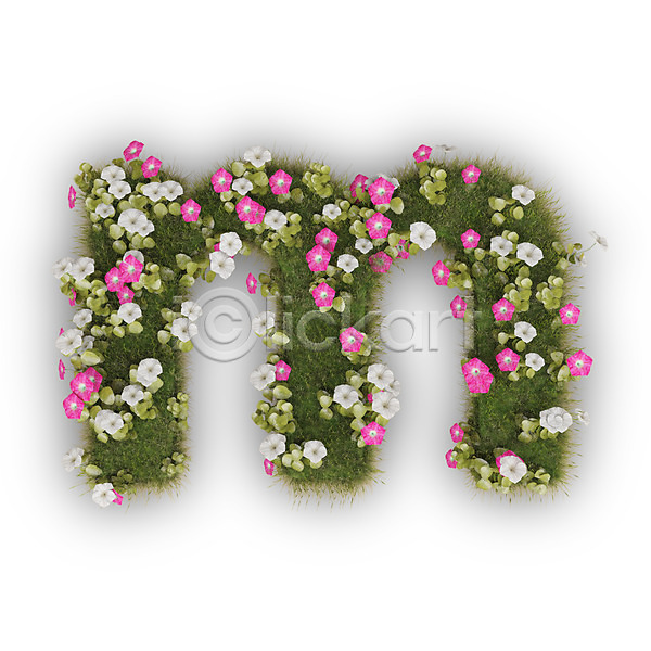 사람없음 3D PSD 편집이미지 M 꽃 나팔꽃 문자 분홍색 소문자 식물 알파벳 영어 타이포그라피 텍스트 흰색