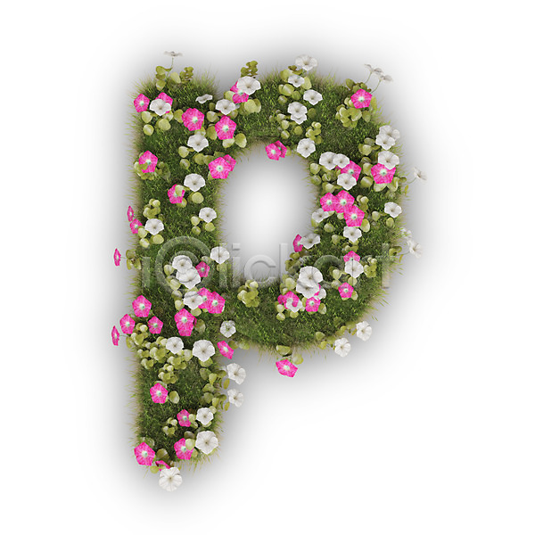 사람없음 3D PSD 편집이미지 P 꽃 나팔꽃 문자 분홍색 소문자 식물 알파벳 영어 타이포그라피 텍스트 피 흰색