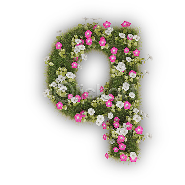 사람없음 3D PSD 편집이미지 Q 꽃 나팔꽃 문자 분홍색 소문자 식물 알파벳 영어 타이포그라피 텍스트 흰색