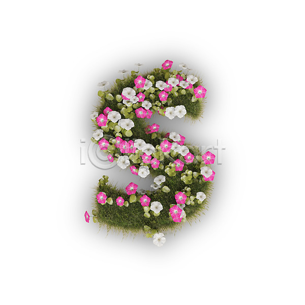 사람없음 3D PSD 편집이미지 S 꽃 나팔꽃 문자 분홍색 소문자 식물 알파벳 영어 타이포그라피 텍스트 흰색