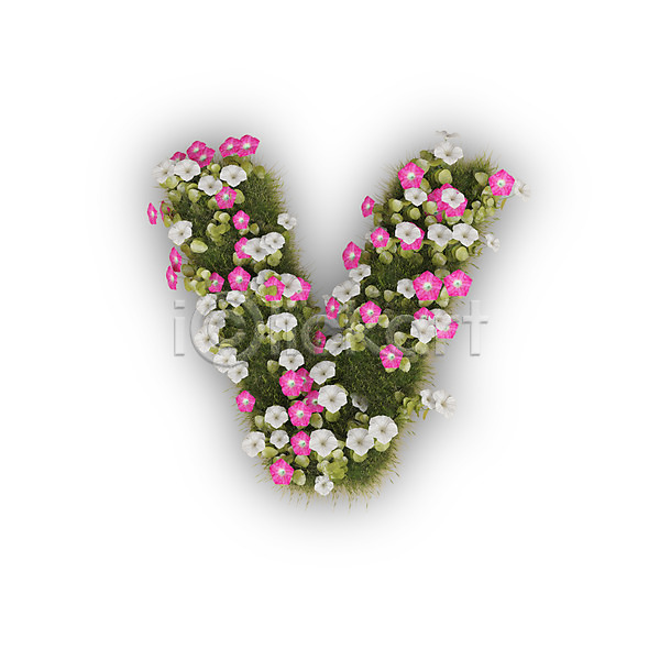 사람없음 3D PSD 편집이미지 V 꽃 나팔꽃 문자 분홍색 소문자 식물 알파벳 영어 타이포그라피 텍스트 흰색