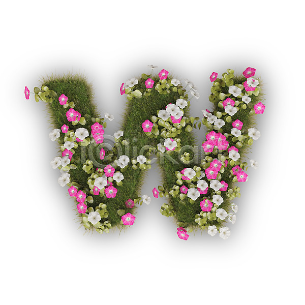 사람없음 3D PSD 편집이미지 W 꽃 나팔꽃 문자 분홍색 소문자 식물 알파벳 영어 타이포그라피 텍스트 흰색