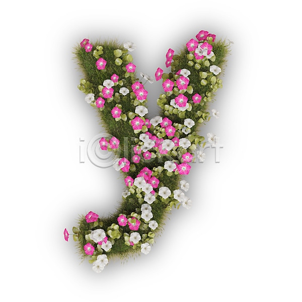 사람없음 3D PSD 편집이미지 Y 꽃 나팔꽃 문자 분홍색 소문자 식물 알파벳 영어 타이포그라피 텍스트 흰색