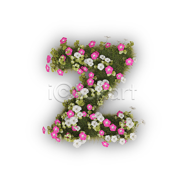 사람없음 3D PSD 편집이미지 Z 꽃 나팔꽃 문자 분홍색 소문자 식물 알파벳 영어 타이포그라피 텍스트 흰색