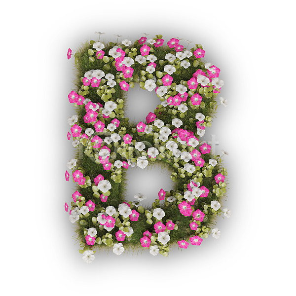 사람없음 3D PSD 편집이미지 B 꽃 나팔꽃 대문자 문자 분홍색 식물 알파벳 영어 타이포그라피 텍스트 흰색