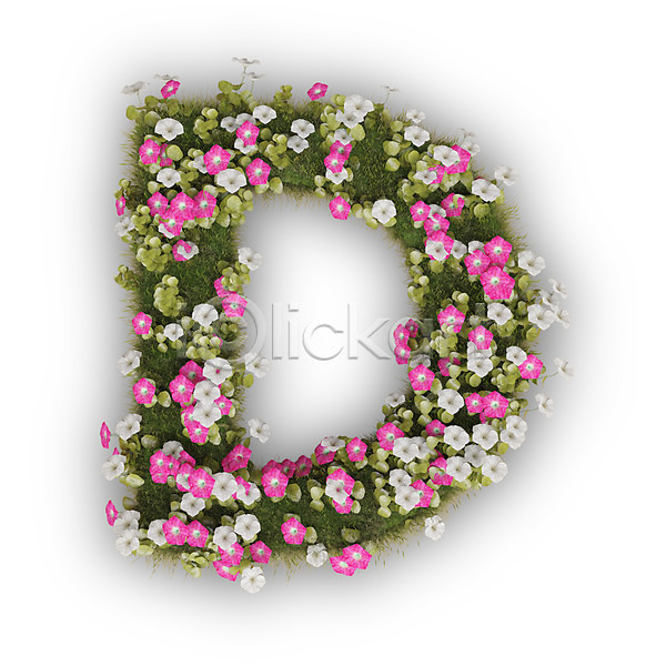 사람없음 3D PSD 편집이미지 D 꽃 나팔꽃 대문자 문자 분홍색 식물 알파벳 영어 타이포그라피 텍스트 흰색