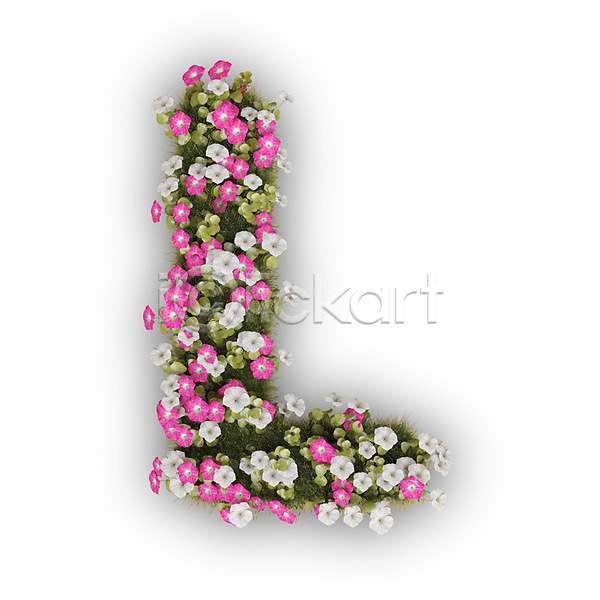 사람없음 3D PSD 편집이미지 L 꽃 나팔꽃 대문자 문자 분홍색 식물 알파벳 영어 타이포그라피 텍스트 흰색