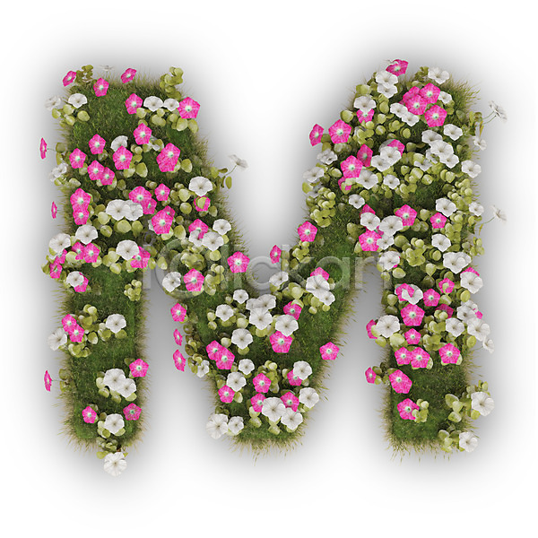 사람없음 3D PSD 편집이미지 M 꽃 나팔꽃 대문자 문자 분홍색 식물 알파벳 영어 타이포그라피 텍스트 흰색