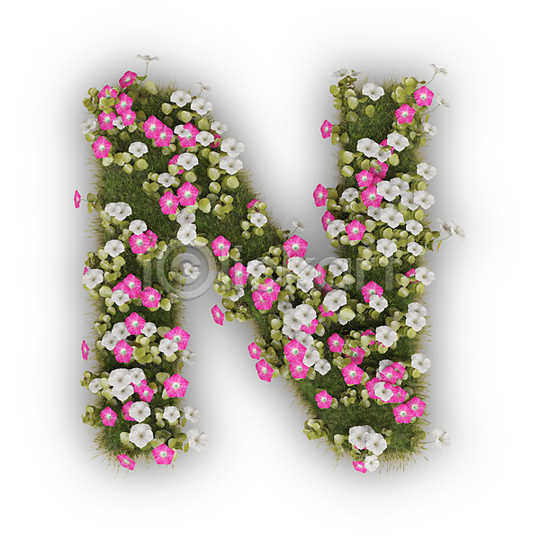 사람없음 3D PSD 편집이미지 N 꽃 나팔꽃 대문자 문자 분홍색 식물 알파벳 엔 영어 타이포그라피 텍스트 흰색